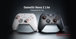 GameSir Nova 2 Lite Wireless PC Controller with Hall Effect Joysticks & Triggers, 2.4G & Wired 1000Hz Polling Rate, Remappable Buttons - Compatible with PC/Switch/Steam/Android (Grey)
