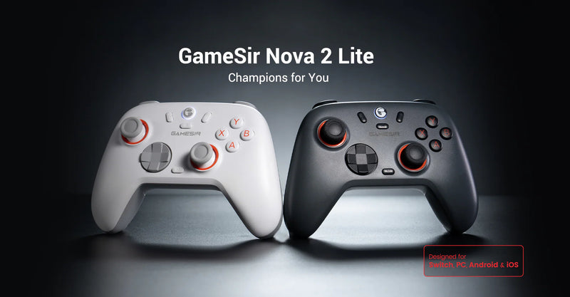 GameSir Nova 2 Lite Wireless PC Controller with Hall Effect Joysticks & Triggers, 2.4G & Wired 1000Hz Polling Rate, Remappable Buttons - Compatible with PC/Switch/Steam/Android (Grey)