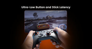 GameSir Nova 2 Lite Wireless PC Controller with Hall Effect Joysticks & Triggers, 2.4G & Wired 1000Hz Polling Rate, Remappable Buttons - Compatible with PC/Switch/Steam/Android (Grey)