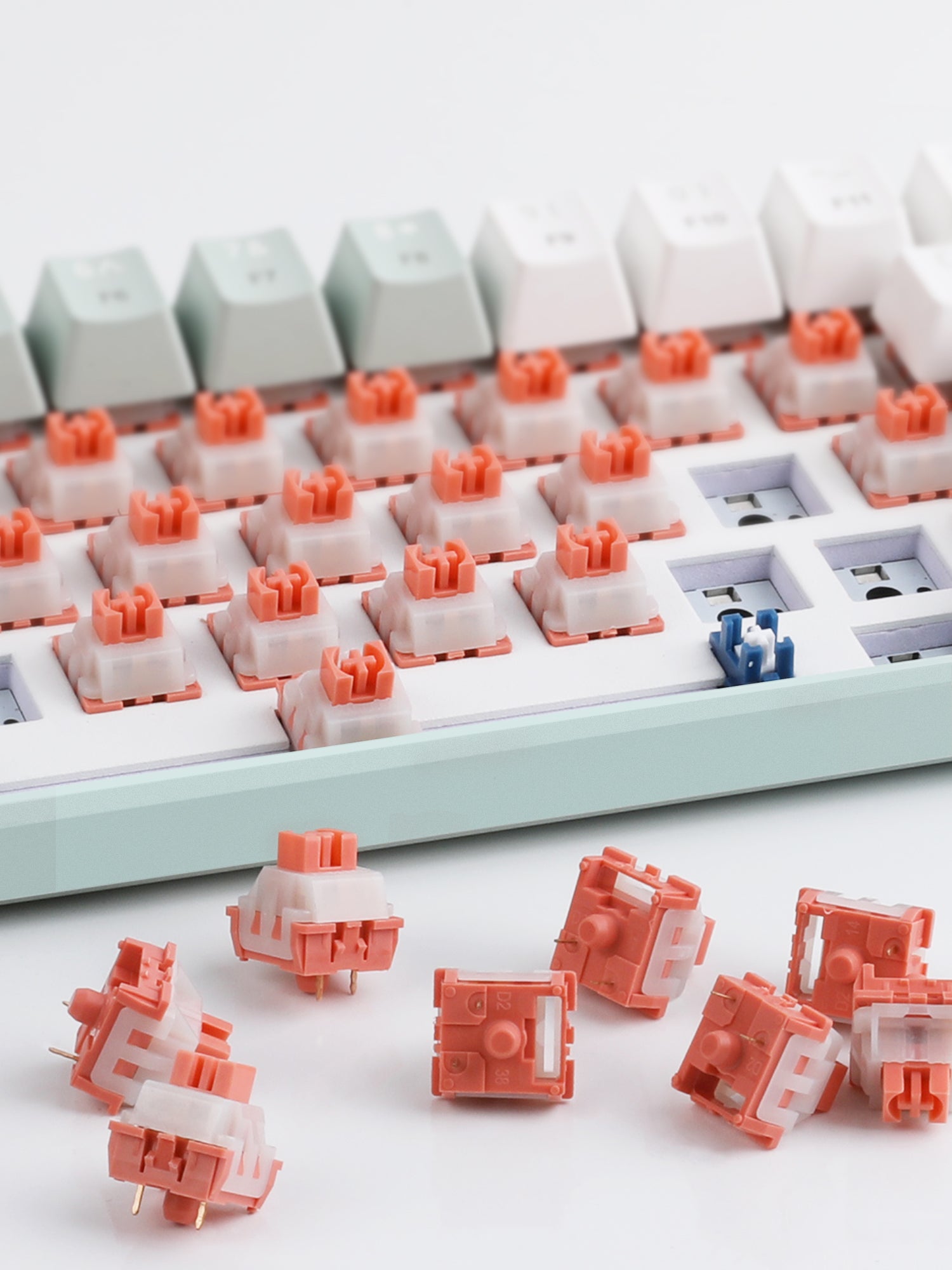 35PCS X MageGee Ginger Cat Switches