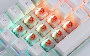 35PCS X MageGee Ginger Cat Switches