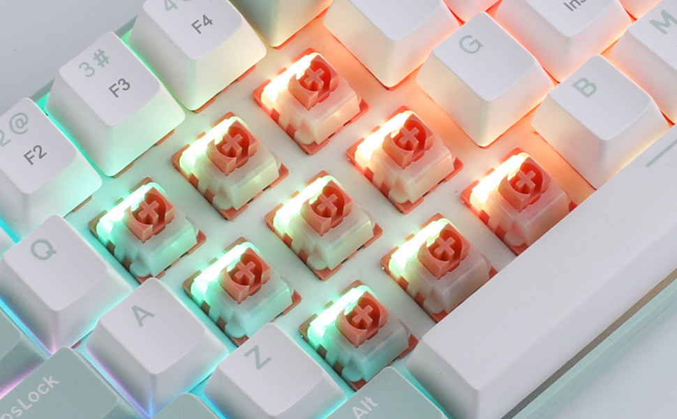 35PCS X MageGee Ginger Cat Switches