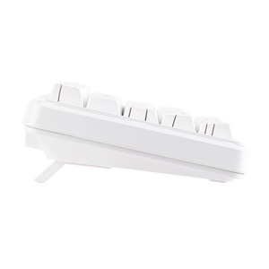 AJAZZ AK680 MAX Magnetic Switch keyboard (WHITE COUNTER)