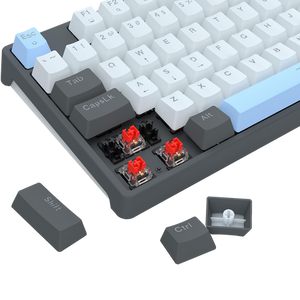Redragon CAESURA K718 Rainbow Backlit Wired 104 Keys Gaming Keyboard