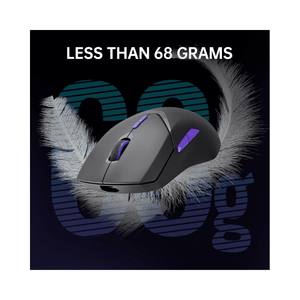 Mouse Rapoo VT9PRO 4K Gaming Black Purple Wireless