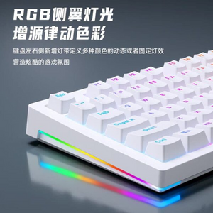 AOC GK230 Rainbow TKL Gaming Mechanical Keyboard – AR / EN 87 Key – Blue Switch | White