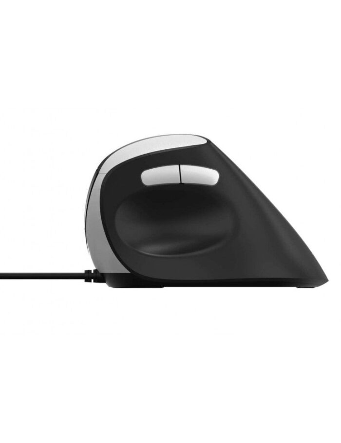 Rapoo EV200 Vertical Ergonomic Mouse - 1600 DPI - Black - Back View